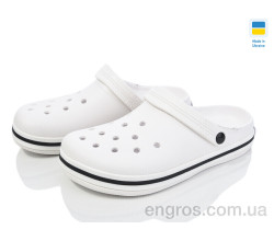 Кроксы Golden Lion